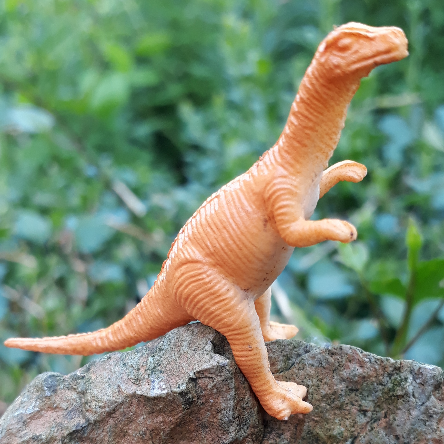 We love dinos!